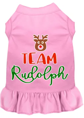 Team Rudolph Screen Print Dog Dress Light Pink 4x